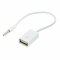 adaptare 14030 10 cm Aux-In-Kabel 3,5-mm-Klinke-Stecker auf USB 2.0-Buchse Typ A weiß